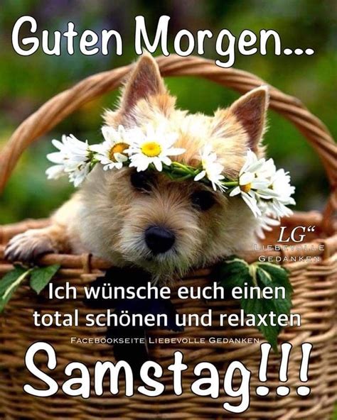 sonntag guten morgen lustig|guten morgen samstag lustig.